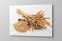 Obraz Farmársky motív klasy 1775